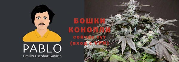 2c-b Покачи
