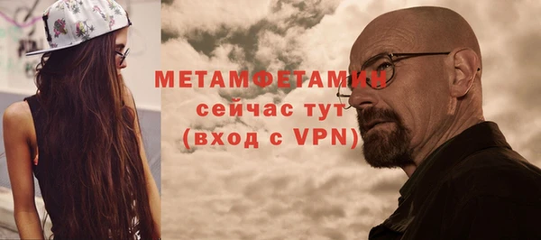 гидра Абаза