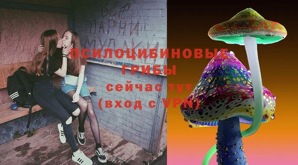 ПСИЛОЦИБИНОВЫЕ ГРИБЫ Покров