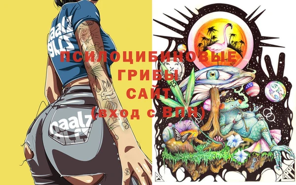гидра Абаза