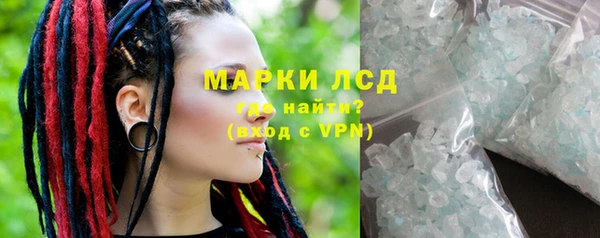 гидра Абаза