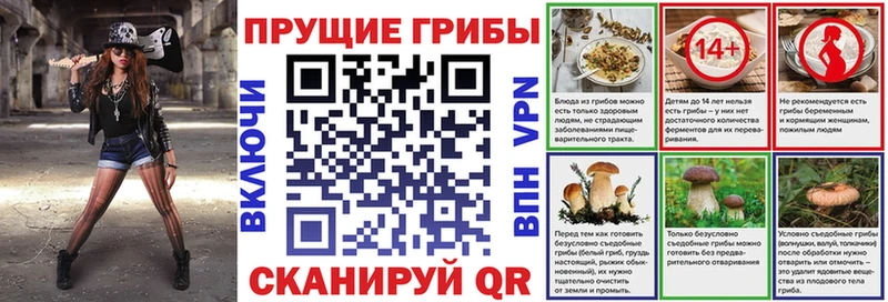 OMG ссылки  Мосальск  Галлюциногенные грибы MAGIC MUSHROOMS 